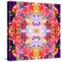 Mandala Ornament from Red Blooming Orchids, Conceptual Photographic Layer Work-Alaya Gadeh-Stretched Canvas