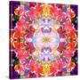 Mandala Ornament from Red Blooming Orchids, Conceptual Photographic Layer Work-Alaya Gadeh-Stretched Canvas