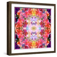 Mandala Ornament from Red Blooming Orchids, Conceptual Photographic Layer Work-Alaya Gadeh-Framed Photographic Print