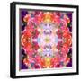 Mandala Ornament from Red Blooming Orchids, Conceptual Photographic Layer Work-Alaya Gadeh-Framed Photographic Print