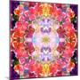 Mandala Ornament from Red Blooming Orchids, Conceptual Photographic Layer Work-Alaya Gadeh-Mounted Photographic Print