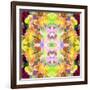 Mandala Ornament from Red Blooming Orchids, Conceptual Photographic Layer Work-Alaya Gadeh-Framed Photographic Print