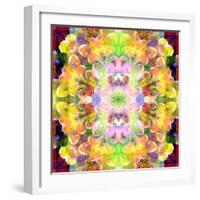 Mandala Ornament from Red Blooming Orchids, Conceptual Photographic Layer Work-Alaya Gadeh-Framed Photographic Print