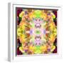 Mandala Ornament from Red Blooming Orchids, Conceptual Photographic Layer Work-Alaya Gadeh-Framed Photographic Print