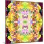 Mandala Ornament from Red Blooming Orchids, Conceptual Photographic Layer Work-Alaya Gadeh-Mounted Photographic Print