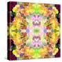 Mandala Ornament from Red Blooming Orchids, Conceptual Photographic Layer Work-Alaya Gadeh-Stretched Canvas