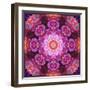 Mandala Ornament from Red Blooming Orchids, Conceptual Photographic Layer Work-Alaya Gadeh-Framed Photographic Print