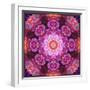 Mandala Ornament from Red Blooming Orchids, Conceptual Photographic Layer Work-Alaya Gadeh-Framed Photographic Print