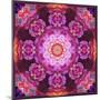 Mandala Ornament from Red Blooming Orchids, Conceptual Photographic Layer Work-Alaya Gadeh-Mounted Photographic Print