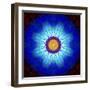 Mandala Ornament of Flowers, Composing-Alaya Gadeh-Framed Photographic Print