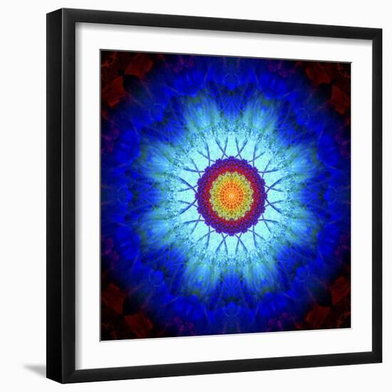 Mandala Ornament of Flowers, Composing-Alaya Gadeh-Framed Photographic Print