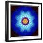 Mandala Ornament of Flowers, Composing-Alaya Gadeh-Framed Photographic Print