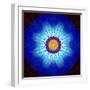 Mandala Ornament of Flowers, Composing-Alaya Gadeh-Framed Photographic Print