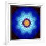 Mandala Ornament of Flowers, Composing-Alaya Gadeh-Framed Photographic Print