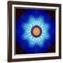 Mandala Ornament of Flowers, Composing-Alaya Gadeh-Framed Photographic Print