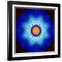 Mandala Ornament of Flowers, Composing-Alaya Gadeh-Framed Photographic Print