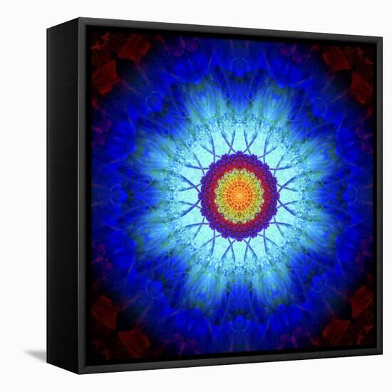 Mandala Ornament of Flowers, Composing-Alaya Gadeh-Framed Stretched Canvas