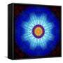 Mandala Ornament of Flowers, Composing-Alaya Gadeh-Framed Stretched Canvas