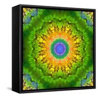 Mandala Ornament of Flowers, Composing-Alaya Gadeh-Framed Stretched Canvas