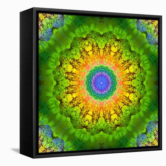 Mandala Ornament of Flowers, Composing-Alaya Gadeh-Framed Stretched Canvas