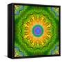 Mandala Ornament of Flowers, Composing-Alaya Gadeh-Framed Stretched Canvas