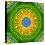 Mandala Ornament of Flowers, Composing-Alaya Gadeh-Stretched Canvas