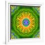 Mandala Ornament of Flowers, Composing-Alaya Gadeh-Framed Photographic Print