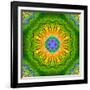 Mandala Ornament of Flowers, Composing-Alaya Gadeh-Framed Photographic Print