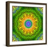 Mandala Ornament of Flowers, Composing-Alaya Gadeh-Framed Photographic Print