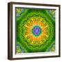 Mandala Ornament of Flowers, Composing-Alaya Gadeh-Framed Photographic Print