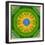 Mandala Ornament of Flowers, Composing-Alaya Gadeh-Framed Photographic Print