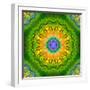 Mandala Ornament of Flowers, Composing-Alaya Gadeh-Framed Photographic Print