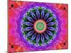 Mandala Ornament of Flowers, Composing-Alaya Gadeh-Mounted Photographic Print