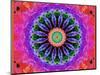 Mandala Ornament of Flowers, Composing-Alaya Gadeh-Mounted Photographic Print