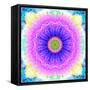 Mandala Ornament of Flowers, Composing-Alaya Gadeh-Framed Stretched Canvas