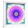 Mandala Ornament of Flowers, Composing-Alaya Gadeh-Framed Photographic Print