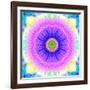 Mandala Ornament of Flowers, Composing-Alaya Gadeh-Framed Photographic Print