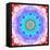 Mandala Ornament of Flowers, Composing-Alaya Gadeh-Framed Stretched Canvas