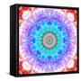 Mandala Ornament of Flowers, Composing-Alaya Gadeh-Framed Stretched Canvas