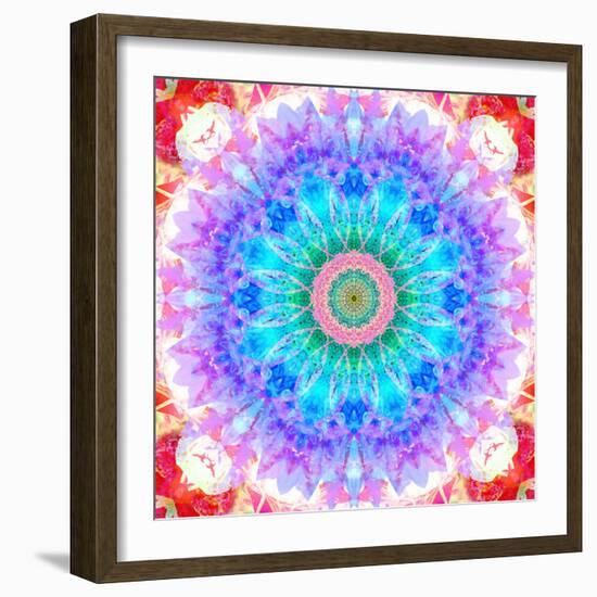 Mandala Ornament of Flowers, Composing-Alaya Gadeh-Framed Photographic Print