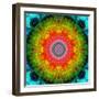 Mandala Ornament of Flowers, Composing-Alaya Gadeh-Framed Photographic Print