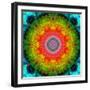 Mandala Ornament of Flowers, Composing-Alaya Gadeh-Framed Photographic Print