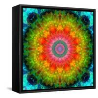 Mandala Ornament of Flowers, Composing-Alaya Gadeh-Framed Stretched Canvas