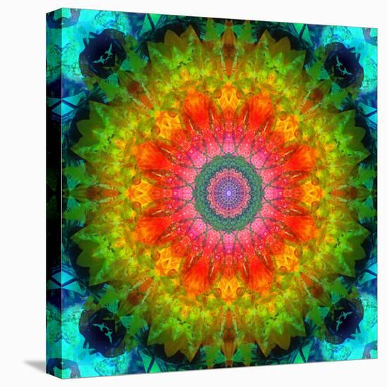 Mandala Ornament of Flowers, Composing-Alaya Gadeh-Stretched Canvas