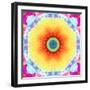 Mandala Ornament of Flowers, Composing-Alaya Gadeh-Framed Photographic Print