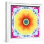 Mandala Ornament of Flowers, Composing-Alaya Gadeh-Framed Photographic Print