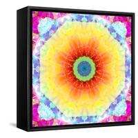 Mandala Ornament of Flowers, Composing-Alaya Gadeh-Framed Stretched Canvas