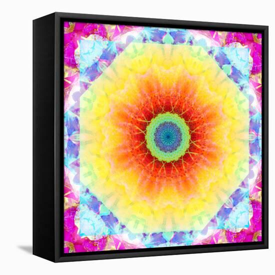 Mandala Ornament of Flowers, Composing-Alaya Gadeh-Framed Stretched Canvas