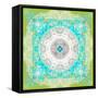 Mandala Ornament of Flowers, Composing-Alaya Gadeh-Framed Stretched Canvas