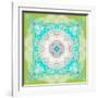 Mandala Ornament of Flowers, Composing-Alaya Gadeh-Framed Photographic Print